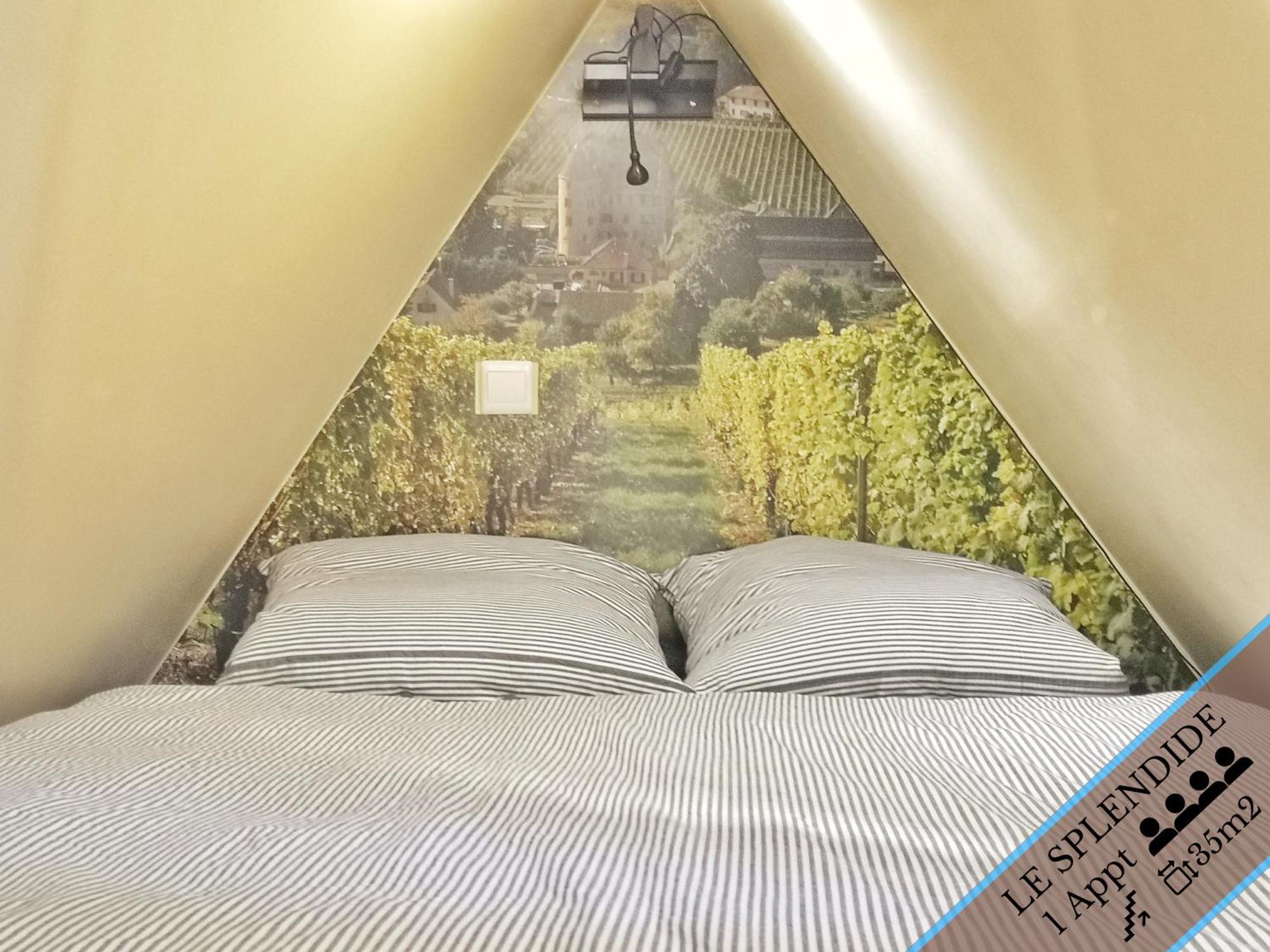 Splendide Appartement Barr - Route Du Vins 객실 사진
